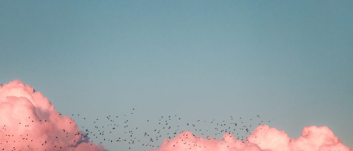 Photo from unsplash